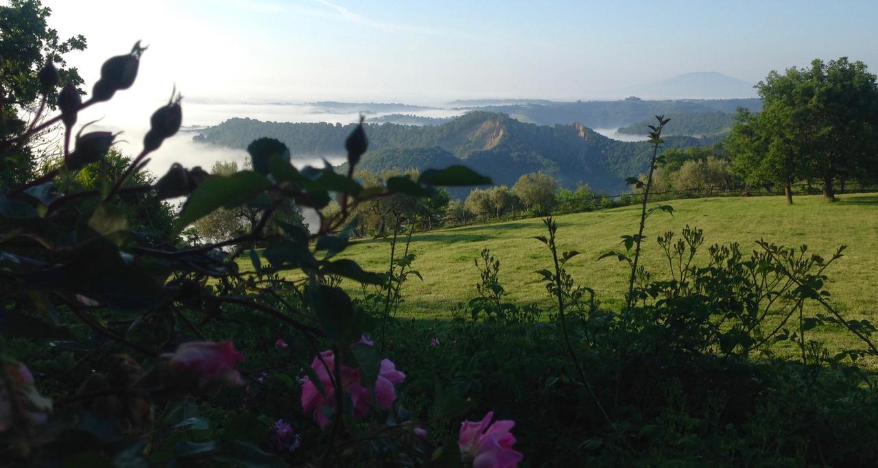 Bed And Breakfast Dopo Il Settimo Cielo Lubriano ภายนอก รูปภาพ
