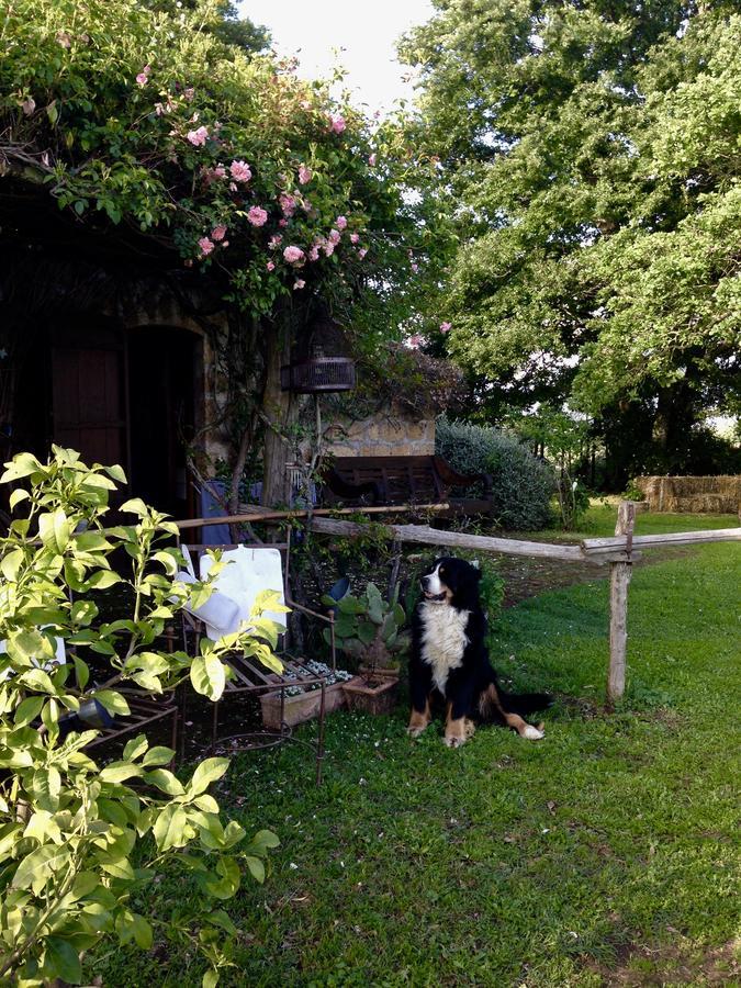 Bed And Breakfast Dopo Il Settimo Cielo Lubriano ภายนอก รูปภาพ